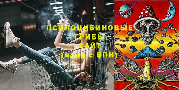 ECSTASY Алексин