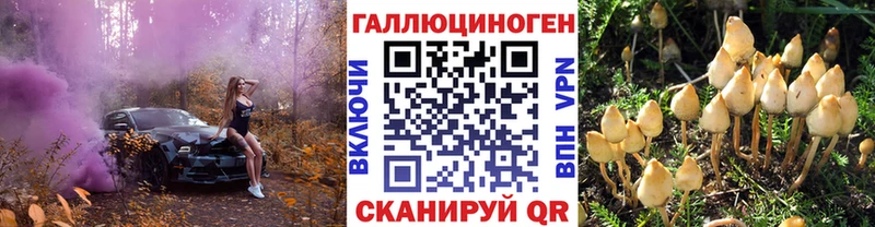 купить   Нарьян-Мар  Псилоцибиновые грибы MAGIC MUSHROOMS 
